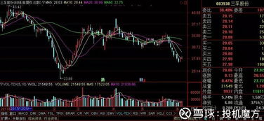 安井食品資產管理公司的秘密 高效資產運作背后的戰略與智慧