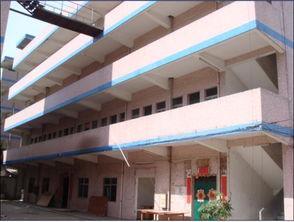 東莞市馬安嶺2號好運廠資產管理探析——基于農村社區集體資產管理的視角